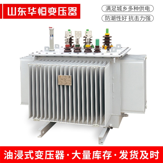 S13-10000/35新邱新邱新邱电力变压器